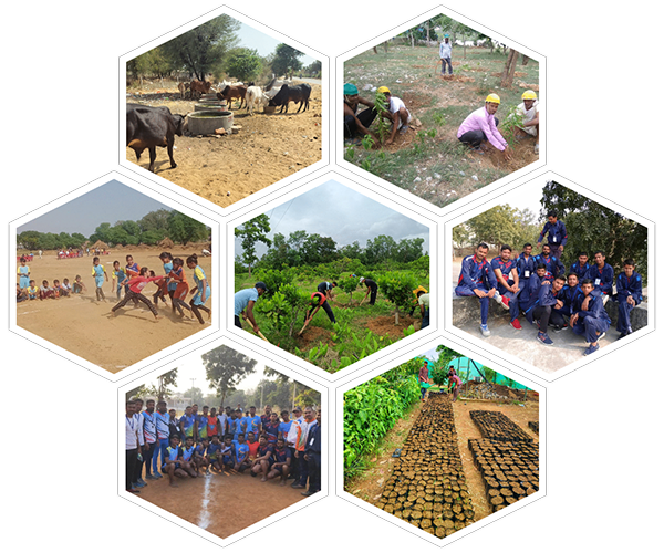 About Image